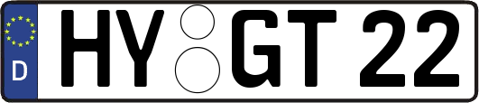 HY-GT22