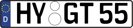 HY-GT55