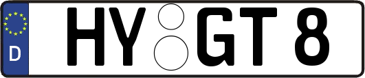 HY-GT8
