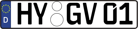 HY-GV01