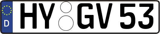 HY-GV53