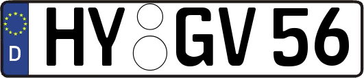 HY-GV56