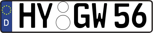 HY-GW56