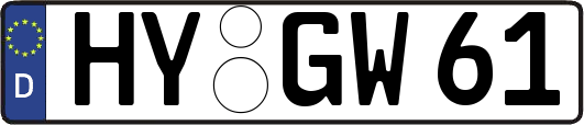 HY-GW61