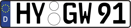 HY-GW91