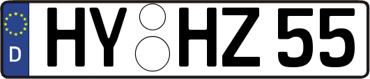 HY-HZ55