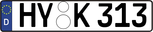 HY-K313