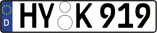 HY-K919