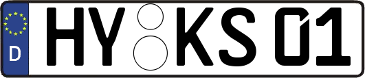 HY-KS01