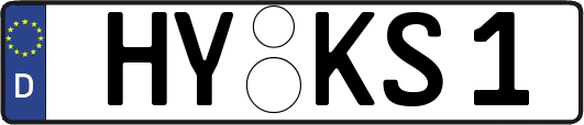 HY-KS1