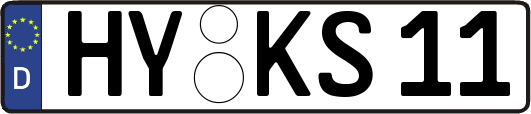 HY-KS11