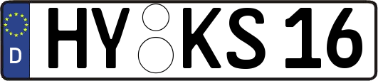HY-KS16