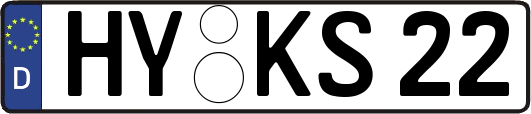 HY-KS22