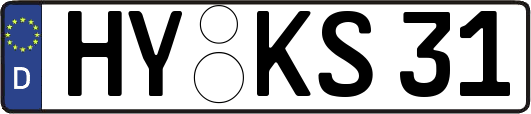 HY-KS31
