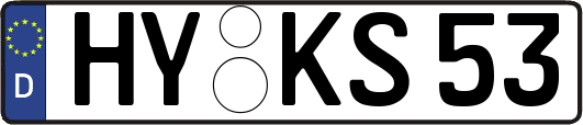 HY-KS53