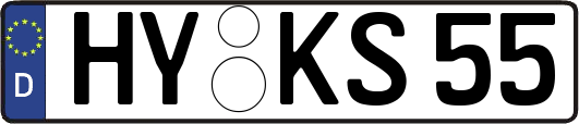 HY-KS55