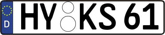 HY-KS61