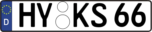 HY-KS66