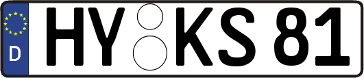 HY-KS81