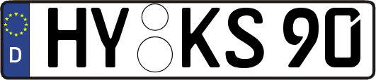 HY-KS90