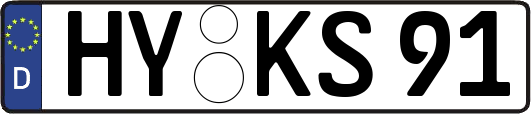 HY-KS91