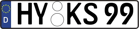 HY-KS99