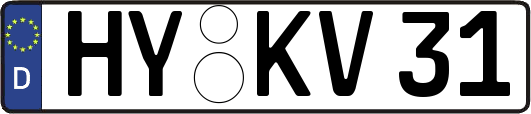 HY-KV31