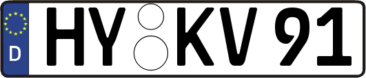 HY-KV91