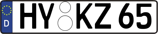 HY-KZ65