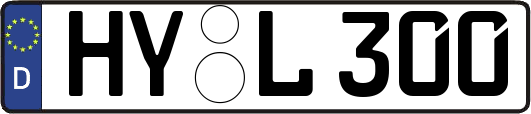 HY-L300