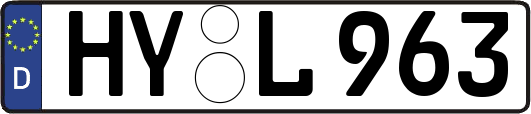 HY-L963