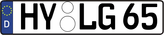 HY-LG65