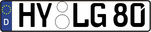 HY-LG80