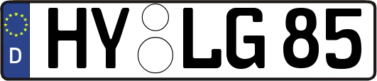 HY-LG85