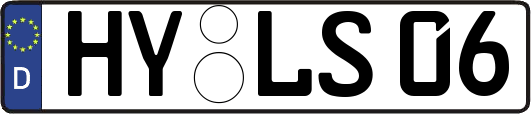 HY-LS06