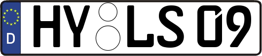 HY-LS09