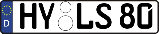 HY-LS80