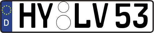 HY-LV53