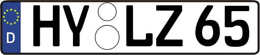 HY-LZ65