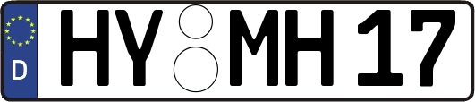 HY-MH17