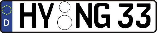 HY-NG33