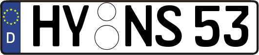 HY-NS53