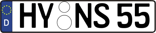 HY-NS55