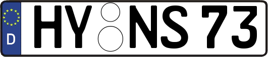 HY-NS73