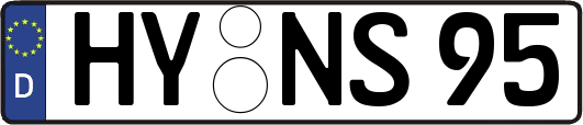 HY-NS95