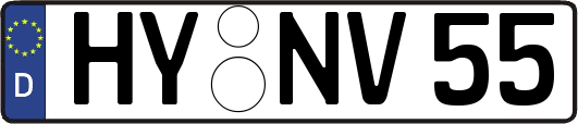 HY-NV55