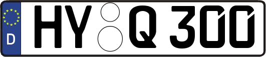 HY-Q300