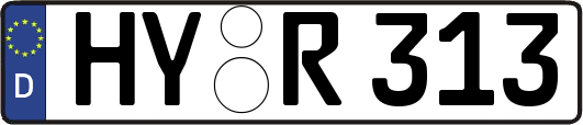 HY-R313