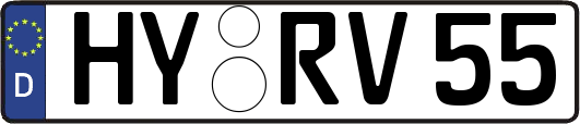 HY-RV55
