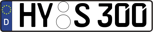 HY-S300